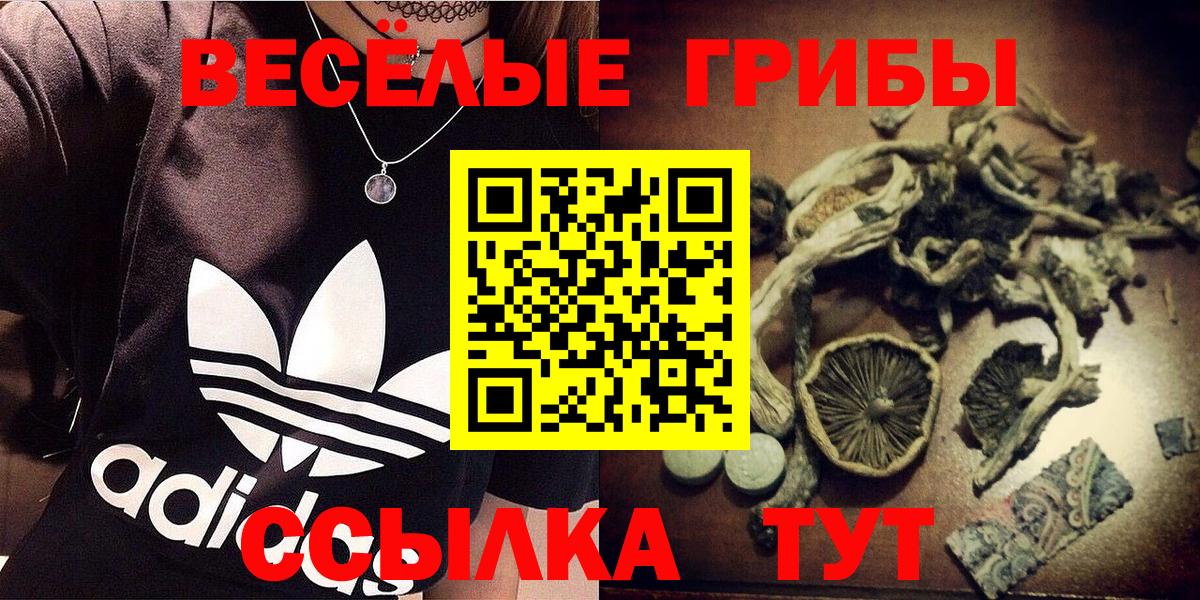 Луга  Псилоцибиновые грибы мицелий  Вход с VPN 
